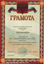 Грамота за 1 место  в конкурсе "Первая помощь " на 39 районных финальных играх  "Орленок  - 2007 "
